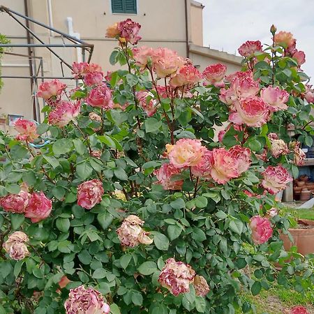 Casa Vacanze L'Acquerello Lari Dış mekan fotoğraf