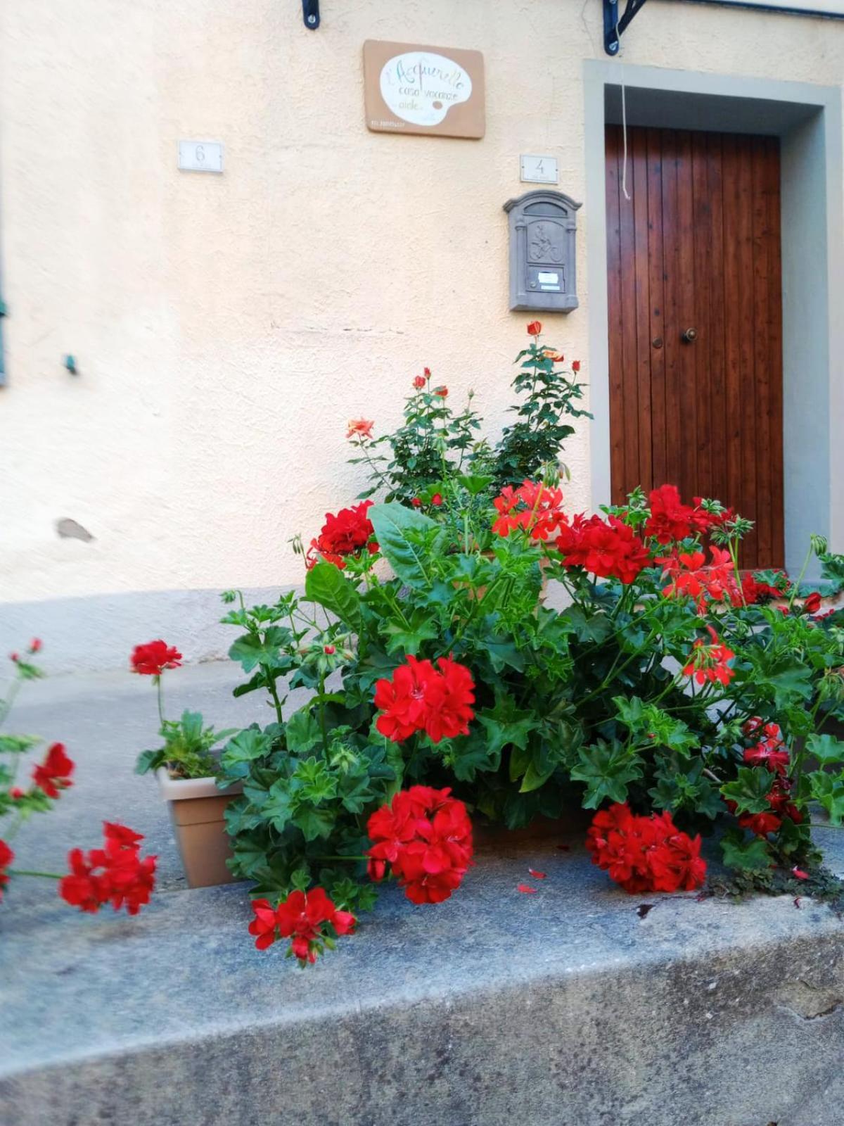 Casa Vacanze L'Acquerello Lari Dış mekan fotoğraf